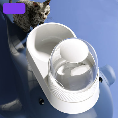 Water Drinker Dog Cat Bowl Bowl Combination Pet Supplies